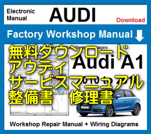 ☆修理事例 外し方 ヘッドライニング アウディ(Audi) e-tron GT 修理事例 外し方 ヘッドライニング アウディ(Audi) e-tron GT